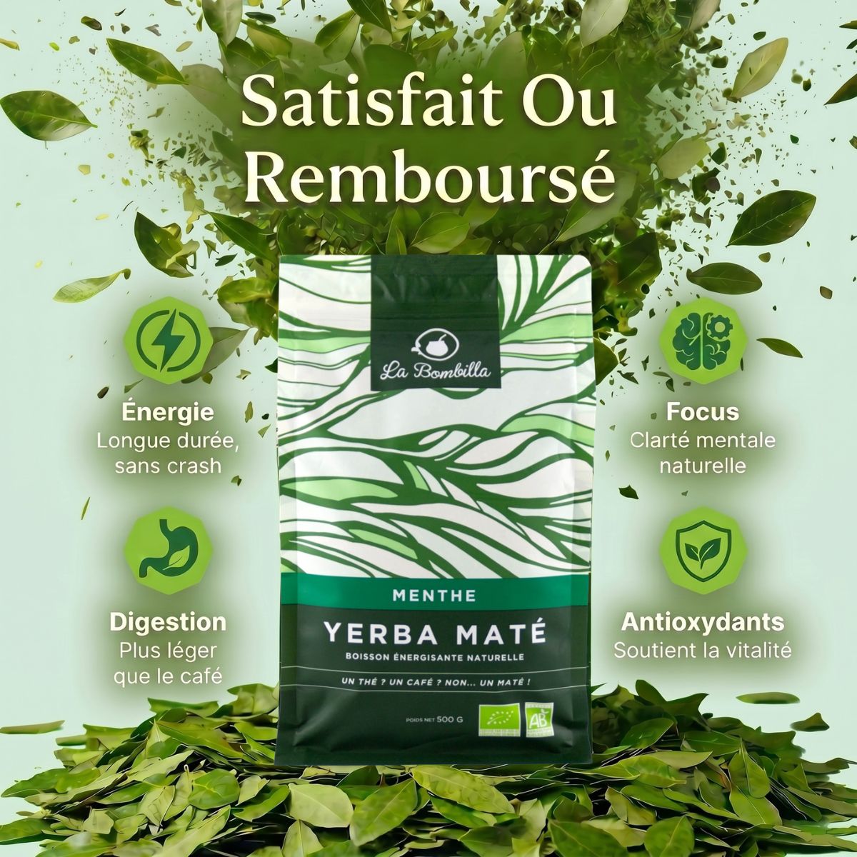 Maté Menthe Bio