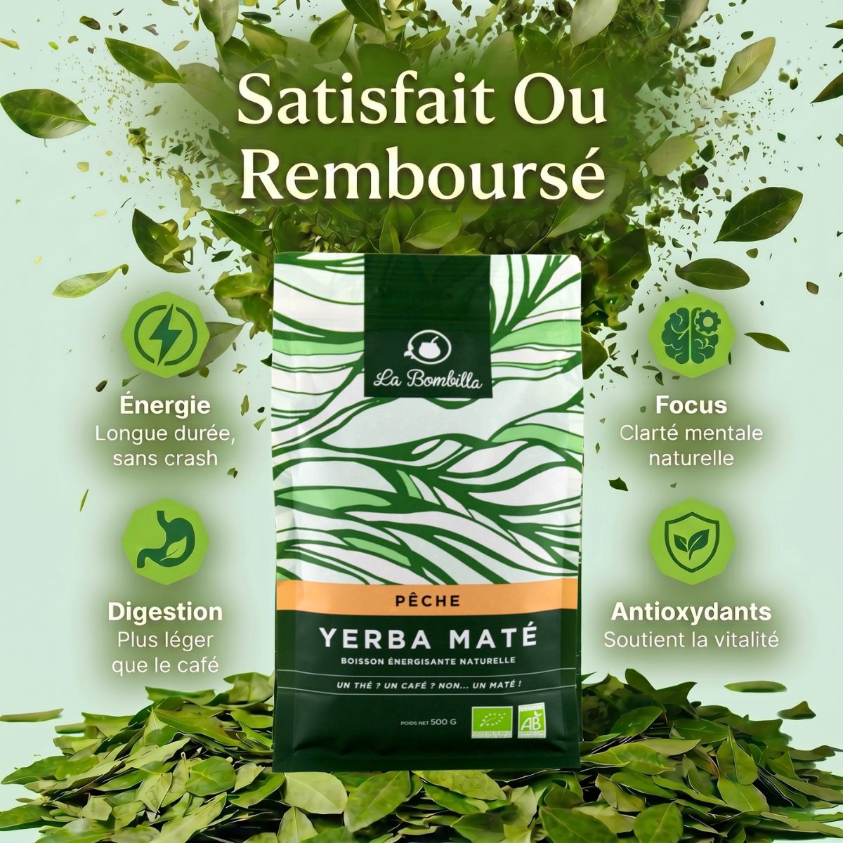 Maté Pêche Bio