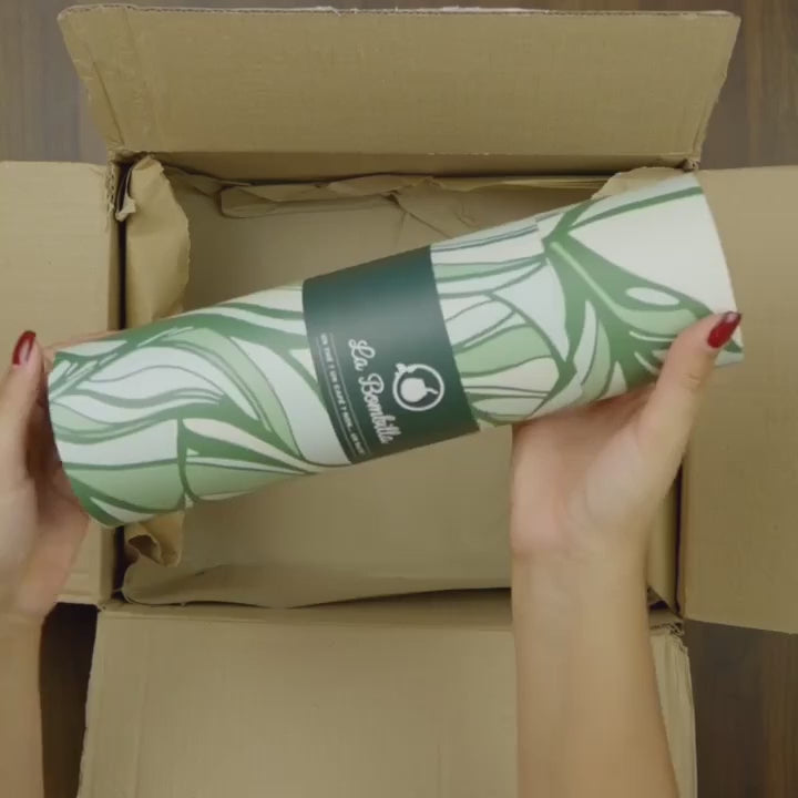Pack Maté Glacé